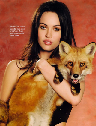 Illustration for article titled Megan Fox Mega Gallery 3